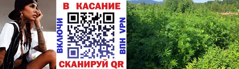 Купить наркотик аптеки Александровск-Сахалинский Кокаин  Канабис  Alpha-PVP  Гашиш  Меф мяу мяу 
