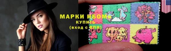 хмурый Алзамай