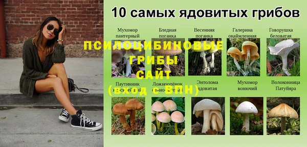 метадон Абдулино