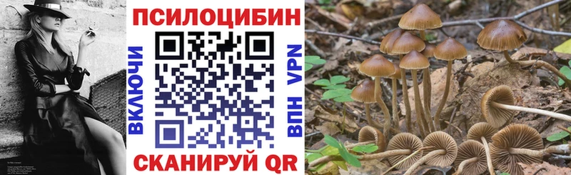 Псилоцибиновые грибы Psilocybine cubensis Александровск-Сахалинский