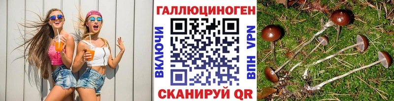 цены   Александровск-Сахалинский  Галлюциногенные грибы MAGIC MUSHROOMS 